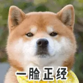 默认教学计划 