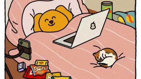 默认教学计划 
